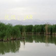 ׼